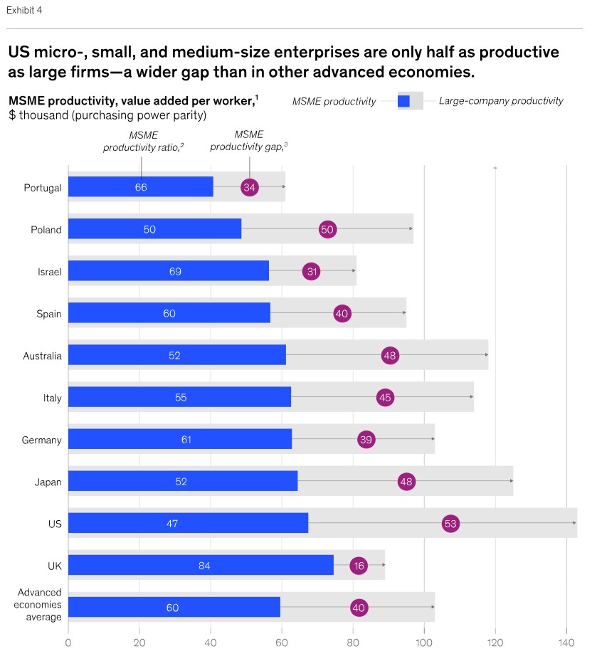 Fig 13 - World economies MSME vs Large firms productivity